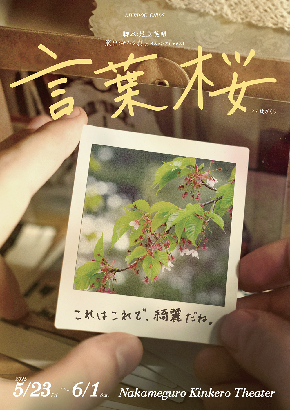 舞台「言葉桜」ロゴ・チラシ